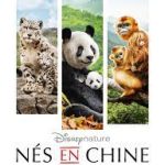 Nés en Chine